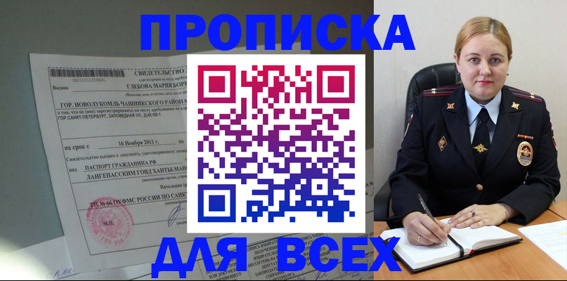 прописка поиск в Бабаево